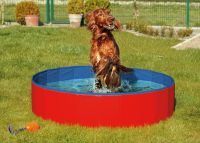 Doggy Pool