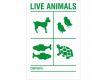 Transportbox Aufkleber-Live Animals (Lebende Tiere)
