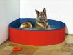 Doggy Pool